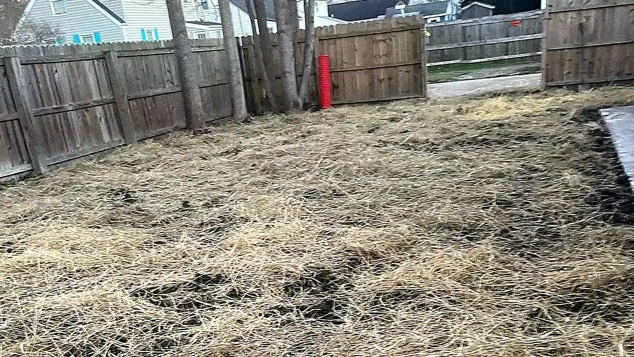 Home 16 After the removal