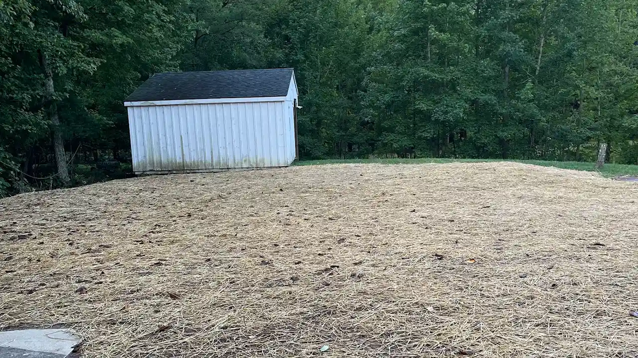 Home 14 Swimming Pool Demolition in Virginia - After