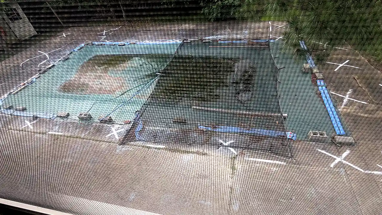 Home 11 Before the demolition of inground pool in Virginia Beach, VA