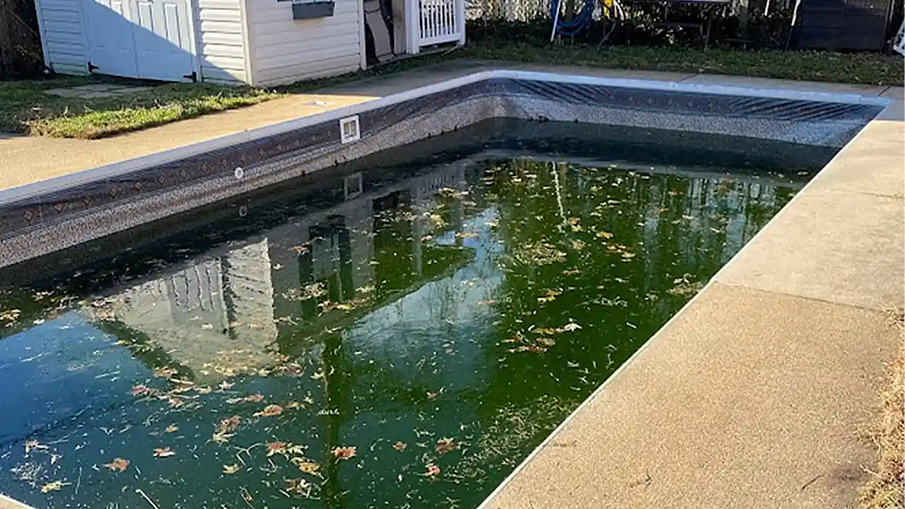 Home 9 Before the removal