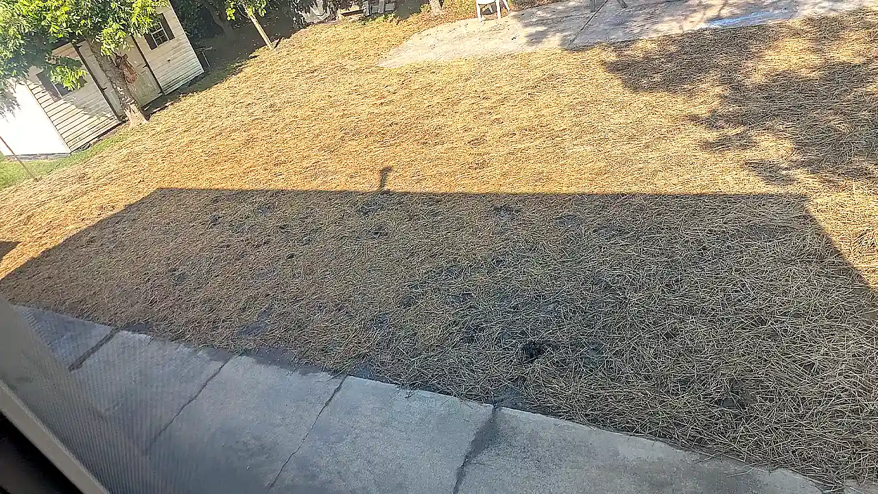 Home 12 After the demolition of inground pool in Virginia Beach, VA