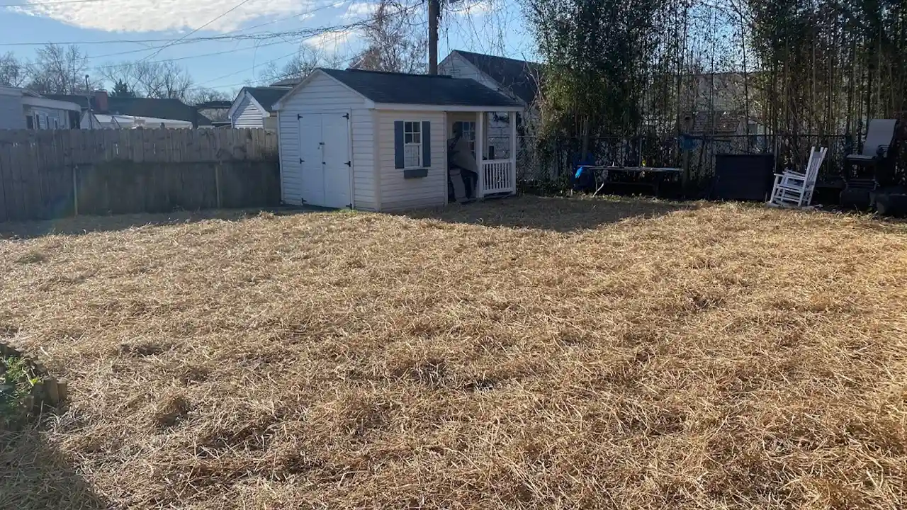 Home 10 After the removal