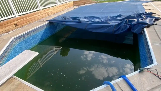 At this stage we successfully disconnected all the utilities, and we are pumping out the water from the pool. A backyard inground pool partially covered by a blue tarp, with murky green water indicating disuse or neglect. The pool is surrounded by concrete decking and a white fence.