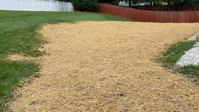 We added the sod to protect the grass from insects, birds and other pests. The final stage shows straw spread evenly across the backyard over new grass seed, marking the completion of the pool removal and beginning of lawn restoration. The yard is bordered by green grass and a white fence.